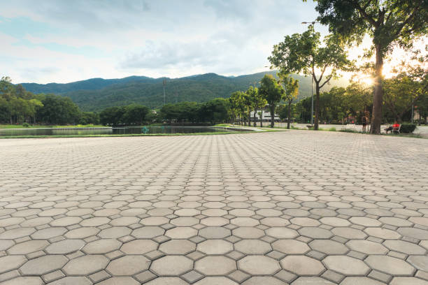 Best Residential Paver Driveway  in Holly Lake Ranch, TX